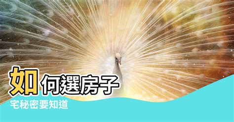 坐西南|陽宅風水學 坐西南向東北 「坤」宅秘密要知道 – 阿丸。